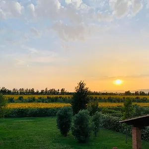 https://le-colonne.it-tuscanyhotel.com